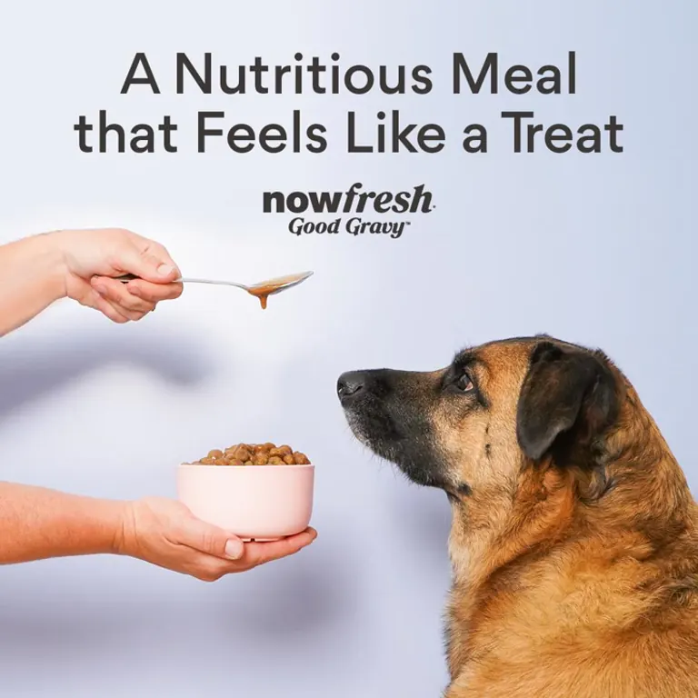 Nutrition that feels like a treat